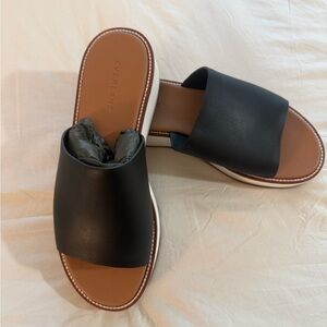 Everlane Black and Brown Slide Sandals